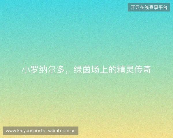 小罗纳尔多，绿茵场上的精灵传奇